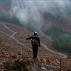 Forest Protection